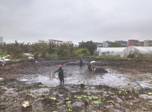 盐城河道鱼塘清淤